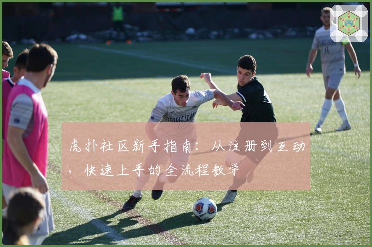 虎扑社区新手指南：从注册到互动，快速上手的全流程教学