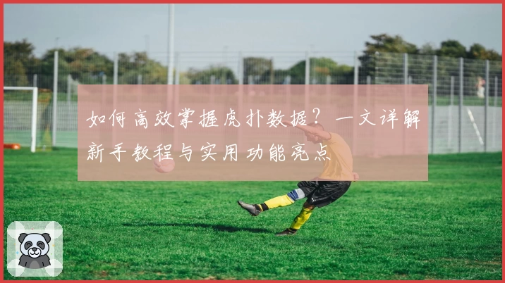 如何高效掌握虎扑数据？一文详解新手教程与实用功能亮点