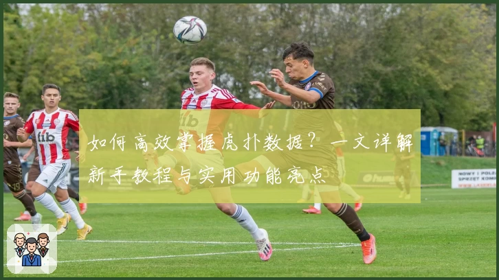 如何高效掌握虎扑数据?一文详解新手教程与实用功能亮点