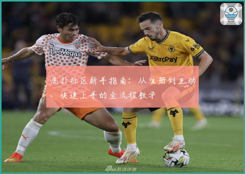 虎扑社区新手指南：从注册到互动，快速上手的全流程教学